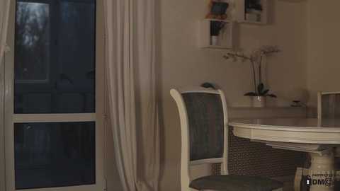 Media: Video of a dimly-lit, cozy dining room with a white table, green-patterned chairs, and a glass door with beige curtains. A potted orchid decorates the table, and white shelves hold books and decorative items on the wall.