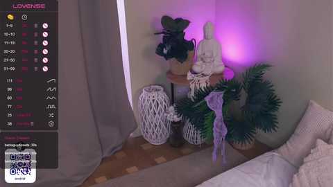 Media: Video of a cozy bedroom corner with a Buddha statue, potted plants, and a plush white cushion on a wooden floor. A TV screen shows a live stream with \"Loveness\" and a chat window.