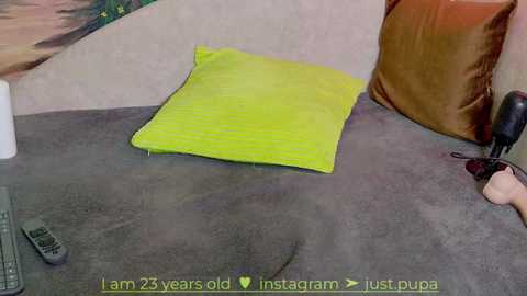 Media: Video of a bright yellow pillow on a grey carpet, next to a brown cushion, with a beige wall and a TV remote visible in the bottom left corner.