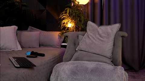 Media: Video of a dimly lit living room with a plush gray sofa, a laptop on the left, a plush cushion on the right, and a potted plant with a lamp behind it.