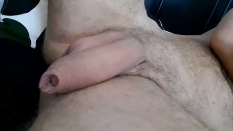 Media: Close-up video of a light-skinned male's uncircumcised penis and scrotum, with a small amount of pubic hair. Background shows a dark, possibly leather, surface and a green leaf.