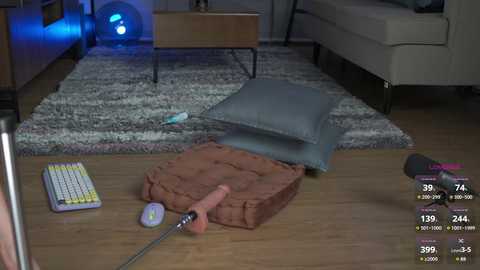 Media: Video of a cozy living room with a wooden floor, gray sofa, plush gray cushion, and a brown cushion on the floor. A blue light glows from the background, and a pink dildo and a vibrator are on the floor.