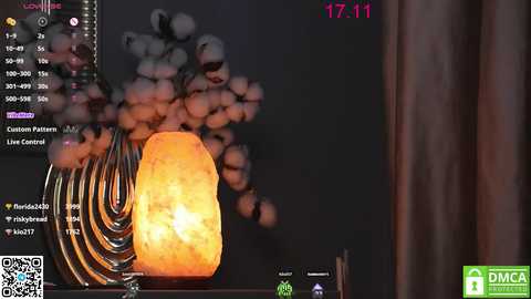 Media: A video of a live stream featuring a glowing lava lamp and a chat window with viewers' comments. The background is dark, emphasizing the lamp's orange glow.