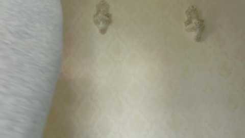 Media: Video of a light-skinned person's back showing faint, irregular, brownish marks resembling insect bites. The background is a white, textured fabric, possibly a bedsheet. The skin texture is smooth.