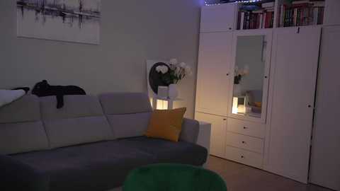 Media: Video of a modern living room with a gray sofa, black cat, white bookcase, and a white cabinet with a lit candle; soft ambient lighting.