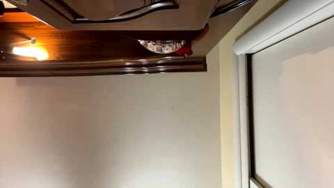 Media: Video of a compact RV ceiling featuring a wooden panel, a small recessed light, and a partially visible red object, with a window to the right.