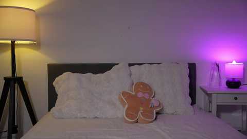 Media: A video of a modern bedroom with a white bed featuring a plush teddy bear pillow and a white headboard. A black floor lamp with a beige lampshade and a purple nightstand lamp add ambient lighting.