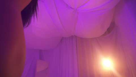 Media: A dimly lit video shows a large, draped canopy bed with soft purple lighting, featuring sheer white curtains and a warm, glowing lamp in the corner.