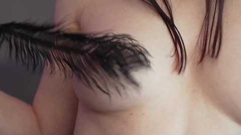 Media: Video of a close-up of a woman's bare back and shoulder, with a black feather being brushed against her skin, creating a soft, feathery texture. The background is blurred, focusing on the interaction between the feather and skin.