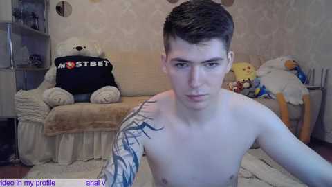 Media: Video of a shirtless young man with short dark hair, blue arm tattoo, and pale skin, sitting in a cozy bedroom with plush toys, beige furniture, and soft lighting.