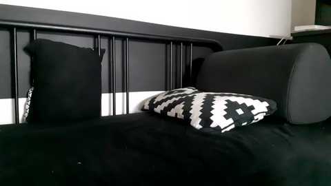 Media: Video of a black metal-framed bed with a black and white geometric-patterned pillow and black blanket, against a white wall, minimalist and modern style.