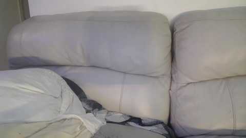 Media: Video of a beige leather sofa with a rumpled gray blanket partially covering the left side, set against a plain white wall. The texture of the leather and blanket is visible, showing signs of wear.