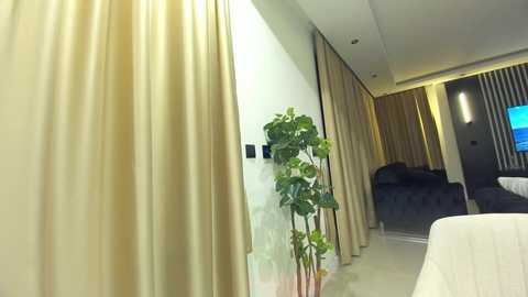 Media: Video of a modern hotel room with beige curtains, a tall potted plant, a bed, and a large flat-screen TV on the wall.