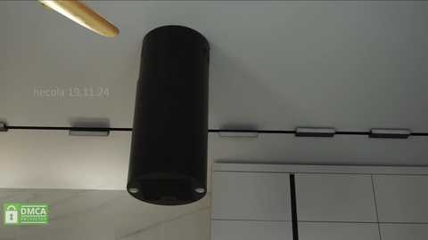 Media: Video of a modern room with a large black cylindrical lamp hanging from a track lighting system. The wall is white, and the background includes a white cabinet with a grid pattern. A \"DTM\" logo is visible in the lower left corner.