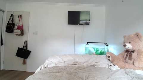 Media: A video of a simple, cozy bedroom with a white bed, a beige teddy bear, a green fish tank, a TV, and hanging bags on the wall.