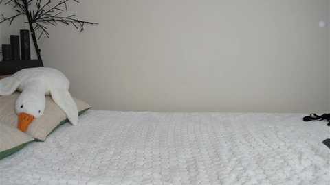 Media: Video of a serene bedroom with a plush white polar bear toy on a beige pillow on a white quilted bedspread against a plain, light-colored wall. A small black and silver object is visible in the bottom right corner.