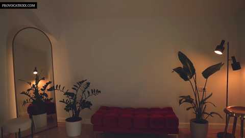 Media: Video of a dimly-lit, minimalist room with a large mirror, red bench, and potted plants, illuminated by a floor lamp.