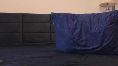 Media: Video of a minimalist room with a black, tufted leather sofa and a blue, patterned blanket draped over the armrest. A beige wall and a modern, cylindrical lamp are visible in the background.