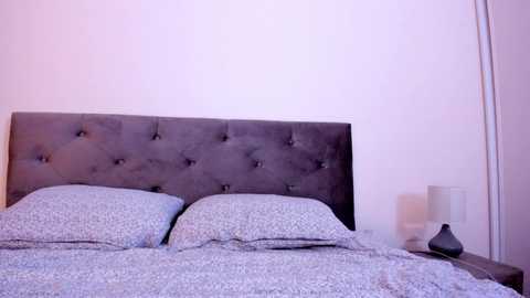 Media: Video of a minimalist bedroom with a gray upholstered headboard, two white pillows, and a patterned bedspread. Nightstand on the right holds a modern lamp.