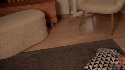 Media: Video of a modern living room with beige couch, wooden chair, and patterned rug on light wooden floor.