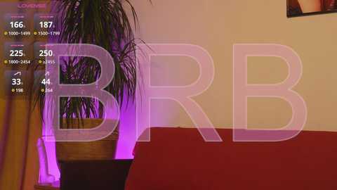 Media: A video featuring a live webcam stream with a blurred, purple-lit background and a large \"BB\" watermark. The setting includes a potted plant and a red couch.