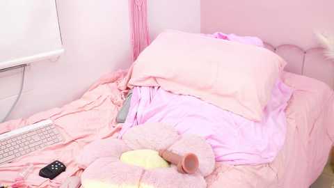 Media: Video of a messy, pink-themed bedroom with a single bed covered in light pink sheets, a stuffed animal, and a remote control on the bed, a television on the wall, and a keyboard on the floor.