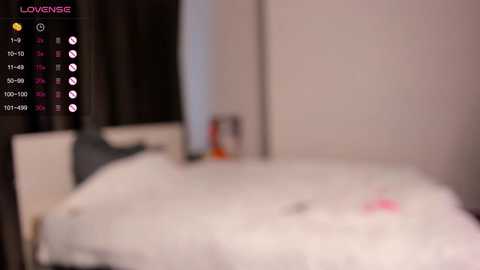 Media: A blurry video of a bedroom with a bed covered in white sheets, possibly indicating an intimate moment. The image includes a smartphone screen with a timestamp and a \"LOVENSE\" label.