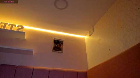 Media: Video of a dimly lit room with yellow lighting. The wall features a framed picture and a partially visible \"ET\" sign. The ceiling has a round light fixture, and the floor shows a partial view of a cushioned bench.