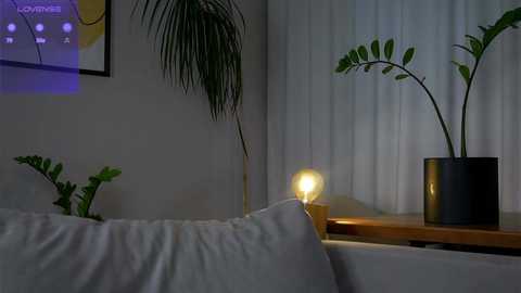 Media: Video of a minimalist living room with white couch, green ferns, black planter, and a glowing lamp.