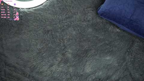 Media: Video of a dark gray, plush, velvety rug with a textured, ridged surface. In the top left corner, there is a pink, cartoonish character with a floral design. A blue pillow is partially visible on the right.