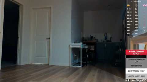 Media: Video of a minimalist, modern apartment with light wood floors, white walls, a kitchen with stainless steel appliances, and a large window.