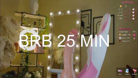 Media: A video of a woman in a pink latex bodysuit, standing in a dimly lit room with a large mirror and a \"BB 25 MIN\" overlay.