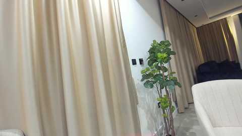 Media: Video of a modern, minimalist living room featuring beige curtains, a tall green plant, a white armchair, and a black sofa against a white wall.