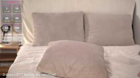 Media: A video of a neatly made bed with two large beige pillows and a smaller one in the foreground. The background features a digital clock showing 3:00 AM. Text at the bottom reads, \"3 days until I leave for my vacation.\