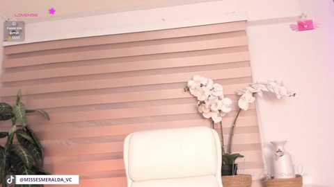 Media: Video of a modern office space with beige horizontal wood blinds, white chair, white orchid plant, and a vase on a wooden side table.