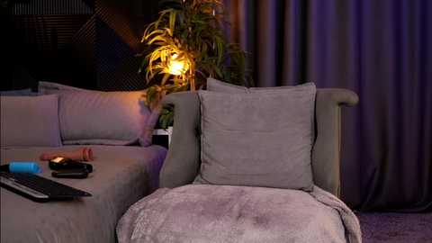 Media: Video of a modern living room with a plush gray sectional sofa, a potted plant, and a warm-lit lamp in the background.