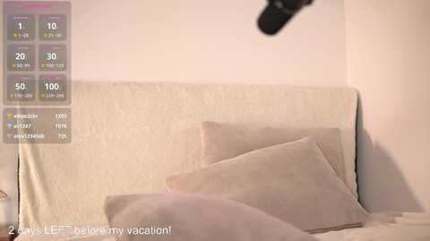 Media: Video of a white bed with beige pillows, showing a blurred microphone in the top right. Overlay includes temperature, humidity, and wind speed readings. Text: \"2 days left until my vacation!\