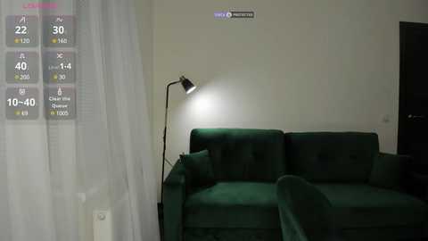 Media: A video of a dimly lit living room with a green velvet sofa, a standing lamp, and white sheer curtains. The image also displays a digital temperature gauge reading 19.9\u00b0C.