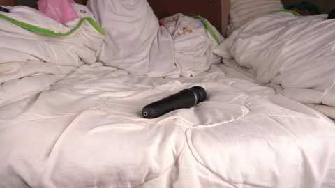 Media: A video of a messy bed with white sheets, a black vibrator resting on the pillow, and a pink stuffed toy in the background.