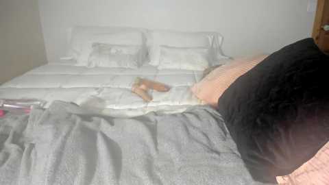 Media: A video shows a cluttered, unmade bed with white pillows, a grey blanket, and a pink object on the floor, partially visible. A person, likely sleeping, is covered by the blanket. The background is plain white.