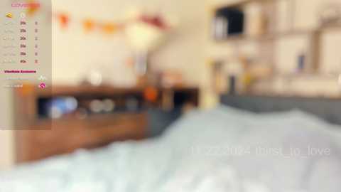 Media: Video of a bedroom with a blurred background, featuring a calendar with \"January 2023\" on the left, a bed with a light blue duvet, and a wooden dresser with decorative items.