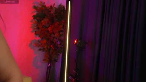 Media: A video of a modern, dimly lit room with vibrant red and purple hues. A tall, artificial plant with red and orange leaves stands against a wall, and a long, thin light strip illuminates a black curtain.