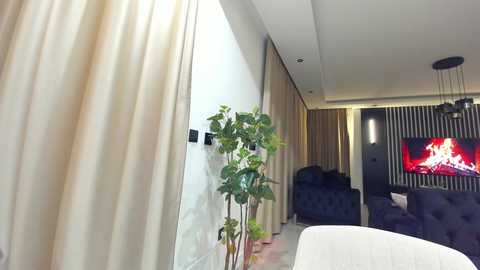 Media: Video of a modern living room with beige curtains, a tall green plant, a black couch, a large flat-screen TV with a fire screen, and a sleek ceiling lamp.