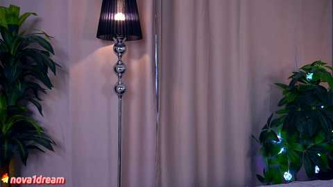 Media: A video of a modern, minimalist room with a tall, silver lamp with a black pleated shade and a beige curtain in the background. Green plants flank the lamp on both sides.