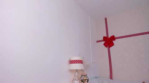 Media: Video of a minimalist, modern bedroom corner with white walls, a red-and-white striped lampshade, a decorative red bow, and a glass vase on a light blue bed.