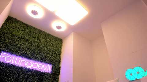 Media: Video of a modern office space with a wall of fake grass, two circular lights, and a \"Folivoli\" sign.