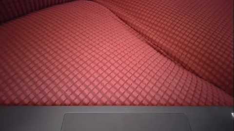 Media: A video of a red, diamond-patterned fabric covering a bed or couch, with a white, rectangular pillow visible at the bottom edge. The image has a neutral background.