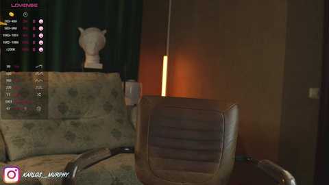 Media: A dimly lit video depicts a beige leather armchair in a room with a wooden floor and dark curtains. A white statue of a horse's head rests on a shelf, and a warm, glowing lamp provides soft light.