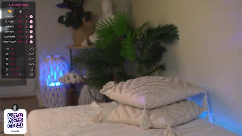 Media: A video of a cozy bedroom with a plush bed featuring a pile of white, textured pillows, a tall green potted plant, and a dimly lit room. A laptop screen shows a live chat feed in the top left corner.