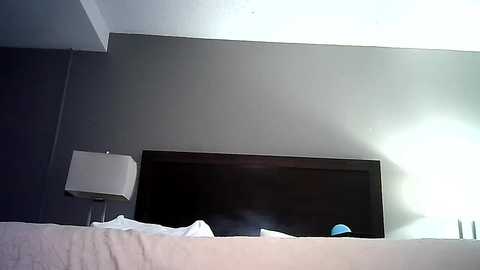 Media: Video of a modern hotel room with a dark wood headboard, white bed linens, a white lampshade, and muted gray walls. Bright light streams in from the right, casting shadows.